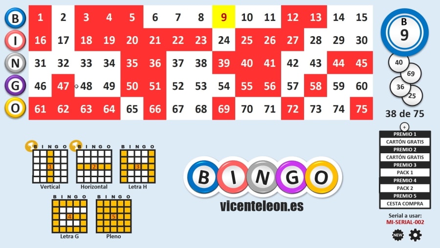 Tipos de Bingo con sus Variantes
